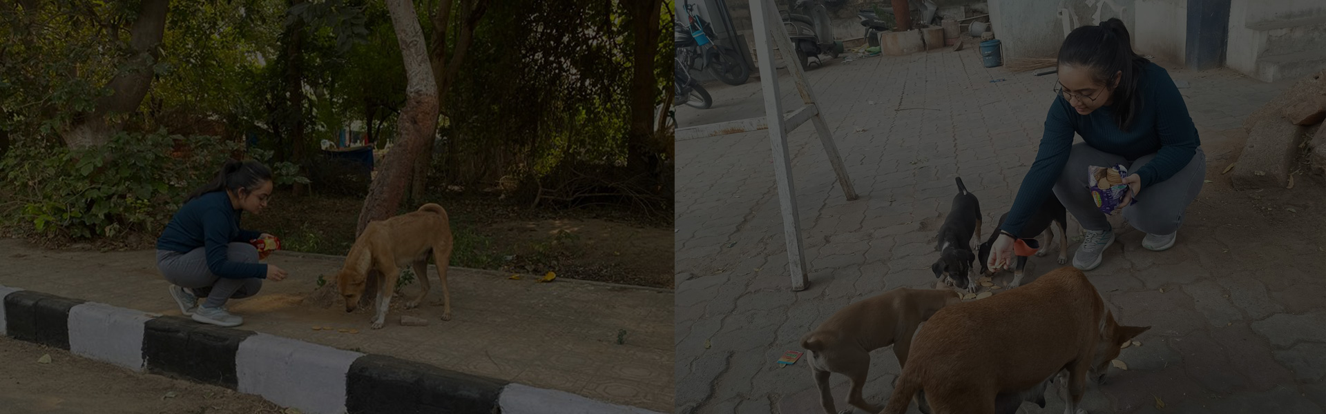 mytro-banner-1920-2-1